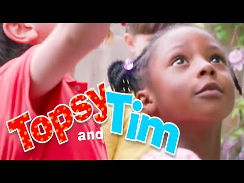 Topsy & Tim 126 - GROWING SUNFLOWERS | Topsy and Tim Full Episodes