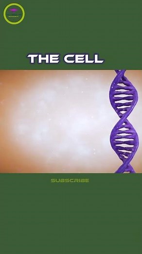 Inside The Cell ( Cytology ).