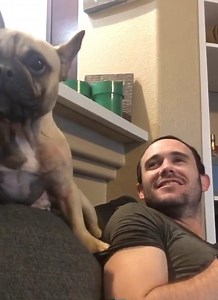 Teaching my puppy to bark like a dog. Potato became a man on this day. @justinthebishop . . . . . . . #frenchbulldog #frenchie #frenchiesofinstagram #frenchies #frenchielove #frenchbulldogs #frenchieoftheday #frenchbully #frenchiesociety #instafrenchie #frenchbulldogsofinstagram #frenchielife #frenchies1 #frenchbulldogpuppy #frenchiesofig #woofwoof #frenchielovers #dailyfrenchie #frenchiegram #ilovemyfrenchie #bulldoglove #bulldog #bulldogsofinstagram #lol #haha #bark #awoo #pupiesofinstagram #p
