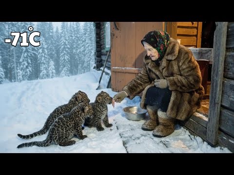 Surviving –71°C 73 Year Old Widow Feeds Starving Black Panthers in Siberia