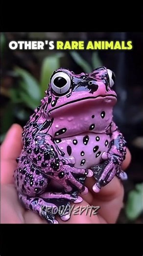 Normal Rare animals VS King of Rare Animals ☠️ #shorts #edit #trollface #animals