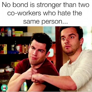 Costco Bear on Reels