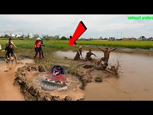 Giant snake swallows prey; young man calls hunters for help.