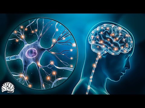 432 Hz - Whole Body Regeneration - Full Body Healing | Emotional & Physical Healing