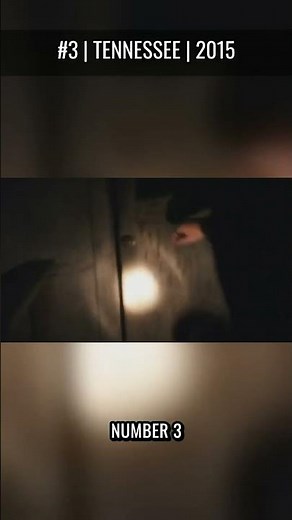 4 Scariest Creatures Caught on Camera — Bedroom Cam, CCTV, Trail Cam & Security Footage