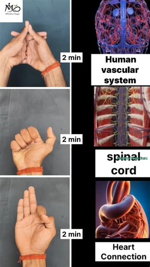 2 Minute Hand Mudra for Heart ❤️ | Improve Blood Circulation | Yoga Mudra