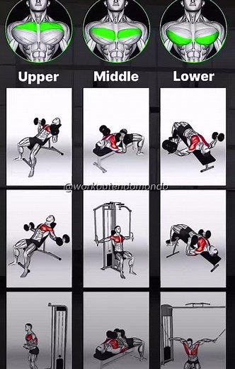 💪 #gym #gymlife #workout #gymfreak #toptags #gymtime #gymrat #bodybuilding #gymmotivation #train #fitfam #progress #muscle #training #befit #health #gymaddict #instahealth #hulk #body #fit #strong #motivation #determinant #determination #instadaily #musclegain #cleaneating #exercise #fyp #رياضة #كمال_الاجسام