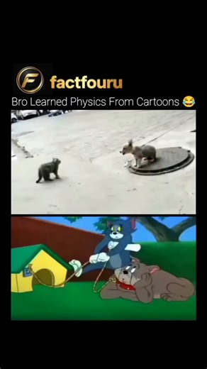 knowledge motivation and facts on Instagram: "A short video montage humorously compares real-life footage of a cat and a puppy slipping and spinning on a manhole cover with classic Tom and Jerry chase scenes, revealing how cartoon “physics” often mirrors reality. The exaggerated slides, sudden spins, and momentum-driven chaos seen in animation closely resemble real animal movement on low-friction surfaces. The clip highlights how early animators drew inspiration from everyday observations, trans