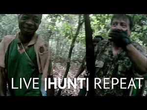 INTENSE BONGO BOWHUNT IN CAMEROON