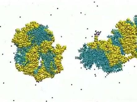 清华大学刘凯教授及德国亚琛工业大学Andreas Herrmann教授合作nature research 标题：Ultra-strong bio-glue from genetically engineered polypeptides由基因工程多肽中提取的超强生物胶 一种生物兼容和可生物降解的蛋白质基粘合剂，无需共价键，由阳离子超荷电多肽和阴离子十二烷基苯磺酸钠表面活性剂组成的复合物，