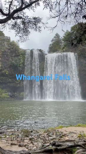 Whangarei Falls(New Zealand)