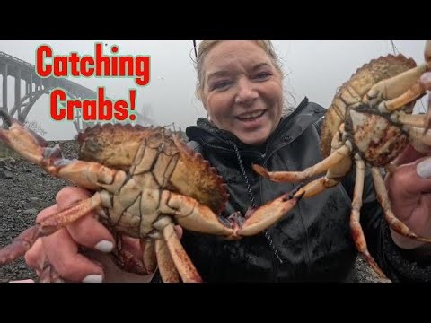 I get shit on by a seagull while crabbing and herring fishing in my secret spot in Newport Oregon!