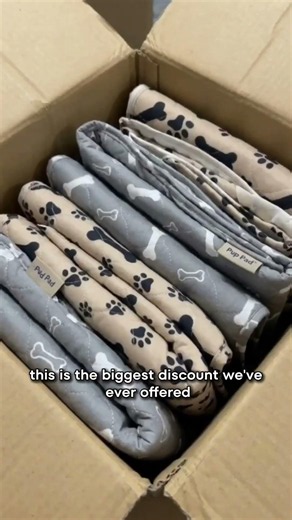 How To Train a Puppy on Pee Pads