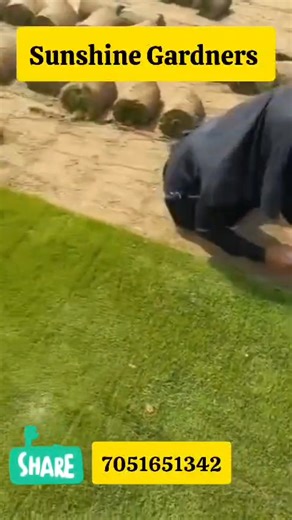 Advt##Alsafa 🌿 SUNSHINE GARDNERS 🌿 ✨ Transforming Spaces into Beautiful Green Landscapes ✨ 👨‍🌾 Expert Team for Garden & Lawn Maintenance and Manufacturing ✔ Garden Designing & Development ✔ Lawn Installation & Regular Maintenance ✔ Landscaping & Plantation Services ✔ Premium & Imported Grass Available We design, create, and maintain lush green spaces for homes, offices, and commercial areas — bringing freshness, beauty, and life to your surroundings. 📞 Contact:sameer Ahmad mir: 7051651342 |