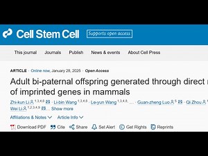Cell Stem Cell：“男男生子”成真？我国学者创造出可存活到成年的“双父”小鼠