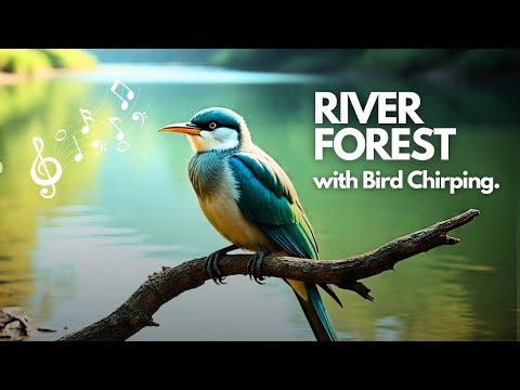 Peaceful Birds & River 🌊 Soft Piano & Nature Sounds | Soothing Music for Relaxation & Meditation