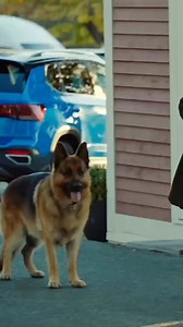 Dog master, executive producer, and proud dog mom Sherri Davis is back with another episode of 'Commanding the Scene!' 🐾🎬 This time, Sherri takes us behind the scenes of Episode 708, where she helped Rex get comfortable with skateboards for an impressive stunt. What’s the best trick your pet has learned? Let us know! ⬇️ #HudsonAndRex | Hudson & Rex on Citytv