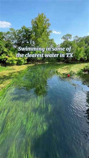 Enjoy some of the clearest waters in Texas at Sewell Park! ☀️ When it comes to destinations to beat this crazy Texas heat, @visitsmtx has it covered with so many fun spots on the water like Sewell Park! One thing I learned was just how vital this water is! It’s home to engendered species and the conservation work that is done here has made a huge impact. It’s a reminder to take care of the environment and find ways to get involved, because it wouldn’t look like this without the volunteers help. 