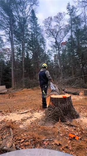 Another great day in the northwoods! #Timbermen #treeservice #Wisconsin #treeremoval #northwoods | Timbermen Services