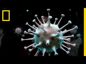 What Is A Virus - All About Influenza & Ebola Viruses - NatGeo