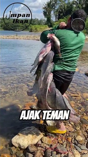 If you found a fishing spot full of fish, what would you do?