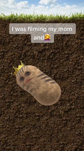 Well my mom knows Hisoka now #mom #anime #weeb #gon #potato #ohgonnnnn #hxh