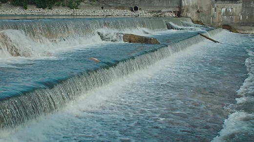 259K views · 1.8K reactions | #WorldWaterDay is this week — See how this 13-year old inventor is using Android to tackle the clean water crisis  | Google | Facebook