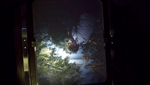 Alec Soth: Photographic Storytelling | Magnum Learn