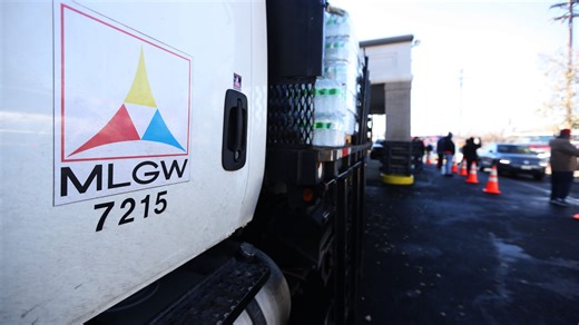 From squirrels to raccoons, many Memphis power outages have animal causes