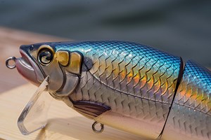 NEW TacticalBassin Lures!! Wakebait, Swimbait, and Crankbaits! Full Review!! — Tactical Bassin' - Bass Fishing Blog