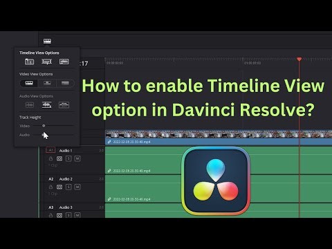 How to enable Timeline View option in Davinci Resolve?