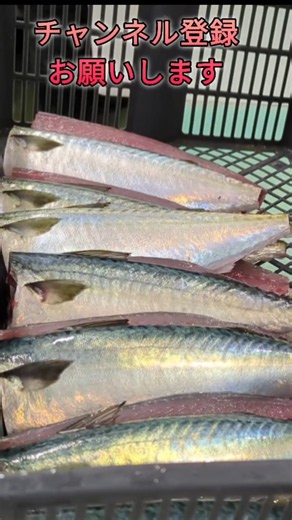 サバの2枚おろし。塩焼き・煮付ならこれが正解。魚屋歴20年以上の実演。#サバ #2枚おろし #魚の捌き方 #魚屋 #shorts #new #fish #howto #おすすめ #簡単 #料理