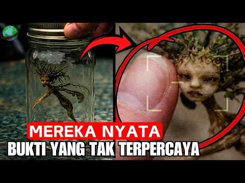 NO ONE BELIEVED IT UNTIL IT WAS COVERED! REAL Fairy Encounters Experts Can't Explain