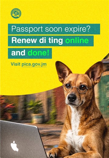 🐶💻 Even the dog know di ting… If your passport soon expire, you can renew it online — quick and easy. All you need: ✔️ Expired passport ✔️ Valid email ✔️ Birth certificate ✔️ Debit or credit card Once you meet the requirements, you're well on your way to renewing your passport from home. No long lines. No stress. Just renew di ting online and done. 🌐 pica.gov.jm
