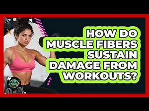 How Do Muscle Fibers Sustain Damage From Workouts?