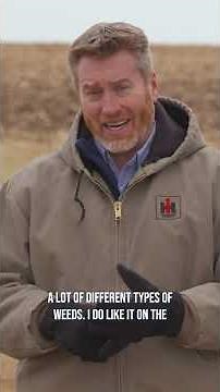 Darren talks about the active ingredient to look for when controlling thistle.