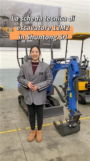 La scheda tecnica di escavatore 12M2 in Shuntong Srl