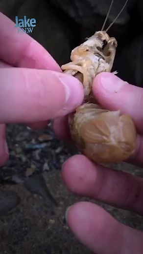 3 dudes, 1 chick | Jacob Colvin