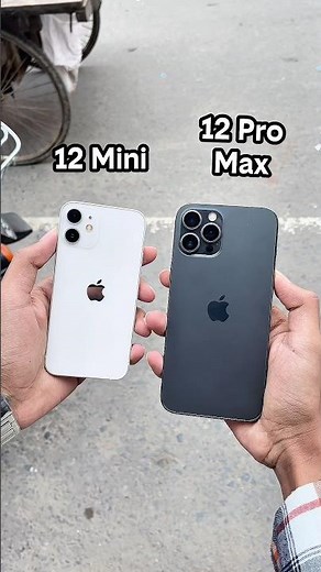 iPhone 12 Mini Vs iPhone 12 Pro Max || Camera Zoom Test! #shorts