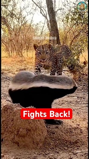 Nature Strikes Back... This Got Brutal