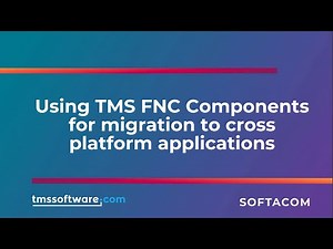 Using TMS FNC Components for migration to cross platform applications