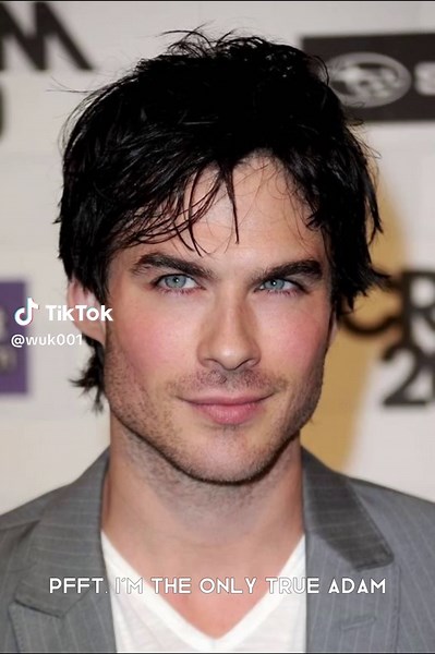 Understanding Mogging: Insights into Moggers and True Adam