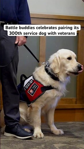 Battle buddies celebrates pairing its 300th service dog with veterans 🦮
