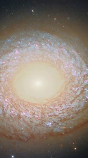 240 reactions | A galáxia que desafia rótulos! A NGC 2775, registrada...