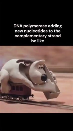 #alevelbiology #funnymemes #biologyexplained #science #biologymemes #biology