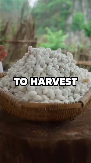 You’ve Been Wearing Worms This Whole Time 😳