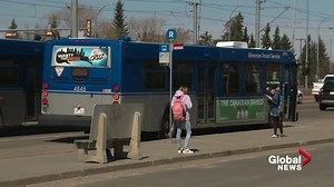 ETS happy with new bus network launch — Edmontonians have mixed experiences