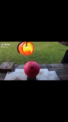 No more pumkin ❌#fypシ #pumpkin #blowrhisup