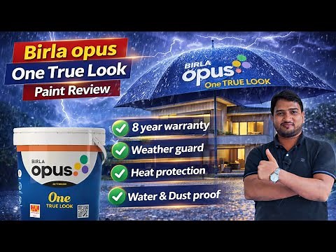 Birla Opus One True Look Full Review | Birla Paint | Opus paint | #thepaintguru