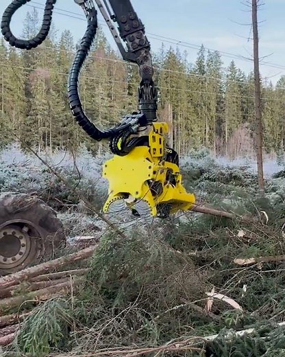 Moipu 300F1 head & Komatsu 911 harvesting pulpwood